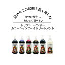 カラーシャンプー TRIPLE RAINBOW COLOR SHAMPOO トリプルレインボー カラーシャンプー パープル シルバー ピンク ブラウン ブラック ..