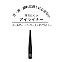 アイライナー 夜までキレイ ブラック パンダ目 にじまない 汗 海 プール スポーツリキッド ウォータープルーフ 目元 漆黒 二重 瞳 パッチリ目元 メイクアップ 簡単二重 デカ目 オールデー パーフェクトアイライナー 描きやすい 長時間 落ちない