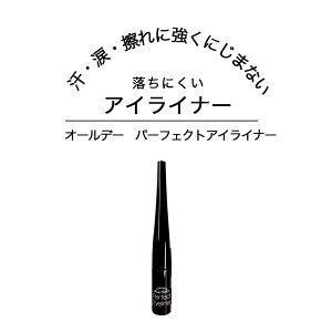 ＼5/16までP2倍／ アイライナー 夜までキレイ ブラック パンダ目 にじまない 汗 海 プール スポーツリキッド ウォータープルーフ 目元 漆黒 二重 瞳 パッチリ目元 メイクアップ 簡単二重 デカ目 オールデー パーフェクトアイライナー 描きやすい 長時間 落ちない