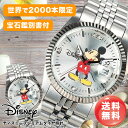 ディズニー 腕時計 ミッキー レディース メンズ ユニセックス 世界限定 カラーバリエーション ディズニープレミアムダイヤ時計 ミッキーマウス グッズ 大人向け ウオッチ 時計 プレゼント ギフト 大人のディズニー腕時計 DISNEY