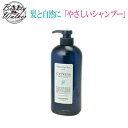 ルベル ナチュラルヘアソープ シャンプー【サイプレス】720ml Lebel CYPRESS CY サロン専売品 シャンプー ヘアケア 美容院シャンプー 美容 ヘアスタイル サロンシャンプー ルベル 人気 ギフト おすすめ シャンプー