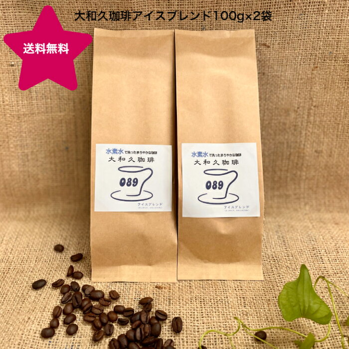 レギュラー コーヒー アイスコーヒー 100g×2袋