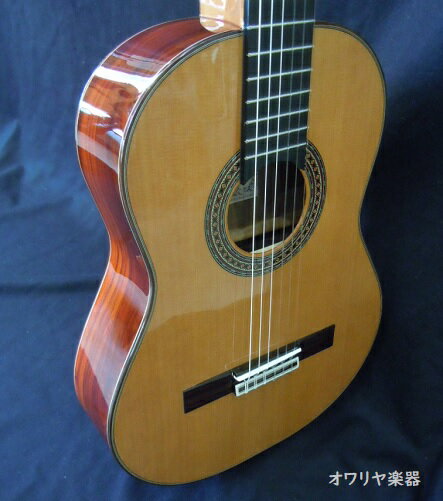 ショートスケールギター スペイン製 610mm　Cocobolo/ココボロ クラシックギター ハードケースセット