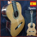 Manuel Fernandezによると、スペインでは表板シダー（杉）の人気が高いそうです。しかしながら、日本ではシダーより、スプルース（松）のギター人気が高い傾向にありました。 ところが、近年シダーの人気が高くなってきています。特に複数ギターを持つ方はシダーを求められるようになっています。シダーギター特有の落ち着きのある色合いもまた、愛好家の心をつかんでいます。 Manuel Fernandezギター 100％スペイン製・完全ハンドメイドクラフトギター スペインの伝統技術と厳選された材料にこだわり、ハンドメイドで一台一台入念に制作された、こだわりのクラシックギター。 最高の音質・音色を目指し作られています。 MANUEL FERNANDEZは”100％スペインでのハンドメイドギター”です。近年では生産コストを下げるため、一部工程をアジア等で製作し、スペインで組み立てたスペイン製ギターもあります。MANUEL FERNRNDEZギターは、材料をギターに適した材に整える最初のステップから全ての工程をスペインで作るハンドクラフトギターです。 ギター王国「スペイン」で実力をみとめられ、数々の賞を受賞しています。 Manuel Fernandezは、日本で唯一オワリヤ楽器だけが販売許可を得ています。 マヌエル・フェルナンデス　クラシックギターのこだわり 裏板内部 ポイント1　Manuel Fernandez　オリジナル設計 このモデルは　Manuel Fernandezが考案した音色・響きなど追求した独自のギター設計をほどこしています。 全工程の中で最もクラフトワークが映える部分でもあるといっても過言ではないブレイシング（ブレーシング）です。 サウンドホールから中をのぞくと、ギターラベルが貼ってあります。ふつうギターラベルはサウンドホールの中心に貼ってあります。 このMF-50Cは、ラベルが左上に貼ってあります。（写真下参照） これはなぜかと言いますと、裏板の中央のブレイシングが高いからです。一般的なクラシックギターの裏板中央ブレイシングは高さがないため、ラベルを中央に貼ることができます。高いブレイシングを採用しているため、ラベルは中央に貼れないのです。高さのある骨太なブレイシングを持つため、音色・響きが良い。これがMF-50Cの大きな特徴です。 （サウンドホールから中をのぞいてみる。裏板の中央ブレイシングが高いのがわかる） ポイント2　弦巻 高級弦巻を採用。弦巻もギターと同様にハンドメイドで作っています。細かな音程にも対応してくれるので、チューニングが滑らかにできます。音程の保持力も高い。奏者にストレスを感じさせない優れた弦巻です。 ポイント3　ネック ネック裏側の中心に黒いライン 長期間ネックのバランスを保つ CEADER WITH EBONAREINFORCEMENT方式 一本木ではなく、アフリカエボニーを入れネック強度を高める方式です。 1本の木のネックは、全体が同じ木のため温度・湿度の変化で同じように収縮し、ネックの曲がりや反り が生じやすくなります。 この方式は手間のかかる仕事ですので、高い品質のギターにはこのような仕様がされ、長い年月愛用できるよう配慮されています。 ポイント4　裏板・側板　高級ローズウッド　単板ローズウッドは、クラシックギターに好まれる木材です。表板のシダーとの相性は抜群で、シダー・ローズウッドは黄金の組み合わせといっても過言ではありません。艶のある滑らかな高音は伸びよく、豊かに鳴らすことができます。 中音は温かで、ふくよかです。音質は全体的に人間味のある心の通った音色。色気のある魅力的なサウンドです。 ポイント4　表板　シダー単板高品質であるカナダ産レッドシダーを厳選して採用。 品質の良さは明らかで、木目が繊細で細かく（密集して）、真っ直ぐ通っています。MF-50C 誕生秘話オワリヤ楽器はManuel Fernandezギターを直輸入販売しています。スペイン工房と密接に連絡をとりあっています。10年程前はシダーギターは日本ではあまり人気がなく、一方スペインではシダーの人気が根強いため、Manuel Fernandezを大層驚かせました。近年、お客様にシダーギターを探す方が多くなってきました。このことをManuel Fernandezに伝えると、とても喜んで、「ぜひシダーで1本作らせてくれないか。シダーのギターの魅力をぜひとも伝えたいんだ」と熱く魅力を語ってくれました。こうして完成に至ったのが、このギターです。製作に1年かかりました。 こうした理由で、日本では1台しかありません。Manuel Fernandezおすすめの1台です。 　Top: SOLID CANADIAN RED CEDAR 単板杉 Body: SOLID&nbsp; ROSEWOOD　Special Inner building 単板ローズウッド　特別構造 Scale: 650mm Neck: Cedar with ebano reinforcement Width of the neck on the nut: 51,5mm Width of the neck on the 12 fret: 61,5mm Fingerboard: Ebony Width of the body on the 12 fret: 95mm Width of the body on the lower bout: 100mm Bridge: Rosewood Head Machine: Golden and Black ハードケースプレゼントMANUEL FERNANDEZ　GUITARS　Made in Spain MANUEL FERNANDEZ　GUITARSのギター工房は、スペイン　バレンシアにあります。1968年に創業以来、少数精鋭の技術スタッフにより手工ギター製作に取り組んでいます。 弊社はMANUEL FERNANDEZ　GUITARSの日本唯一の販売店です。スペインから直輸入をしています。 MANUEL FERNANDEZ　GUITARSは1991年、高い技術職人に贈られるCRAFTSMAN PRIZEの名誉ある賞に輝いています。1993年にはギター制作の高い功績をたたえQuality Rewardに表彰されています。ギターを愛する、実力豊かなスタッフによって高品質のギターを生み出しています。 &nbsp;CRAFTSMAN YEAR 1991 QUALITY YEAR 1993 Craftman NOVA 2005