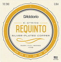 レキントギター弦　D'Addario／ダダリオ 1セット 各1本ずつ計6本【郵送無料】