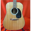 Martin Custom Shop CTM D-18 2010 マーチン エレアコギター【中古】