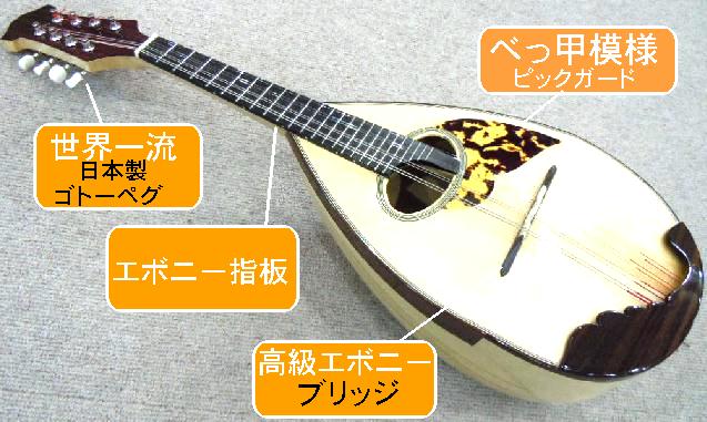 �ޥ�ɥ��IMPERIAL 2015�ݾ��դ�