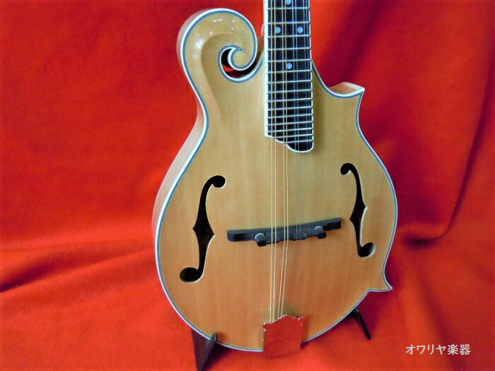 �ե�åȥޥ�ɥ����ñ�ĥ��������ϡ��ɥ��������åȡ�f60c �ʥ�����