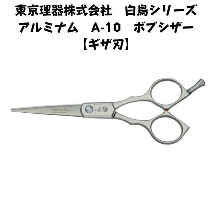 ҡߥʥA-10