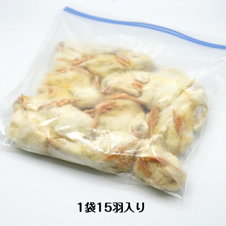 【未処理】プレミアム冷凍ヒヨコ210羽 【国産】冷凍餌 エサ 猛禽類 爬虫類 両生類 フクロウ タカ ハヤブサ 2