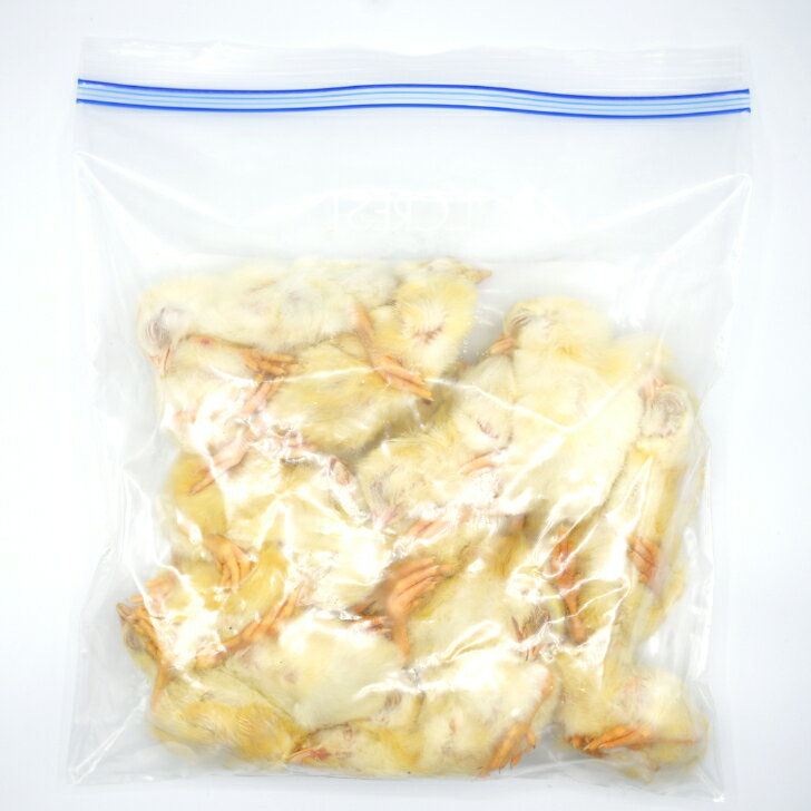 【未処理】プレミアム冷凍ヒヨコ210羽 【国産】冷凍餌 エサ 猛禽類 爬虫類 両生類 フクロウ タカ ハヤブサ 3