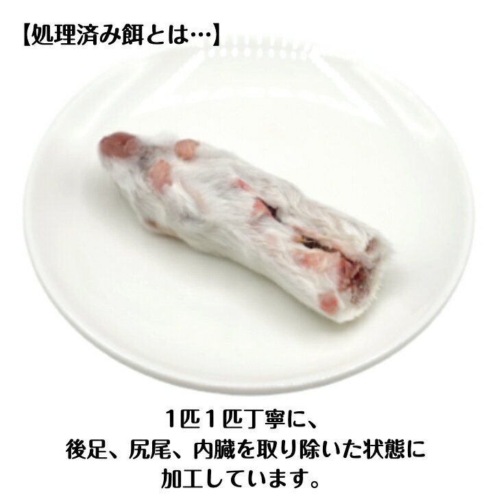 �ڽ����Ѥߡ����ॢ����ȥޥ���M 50ɤ ��ȴ���� ����� ���� �Զ��� ����� ξ���� �ե����� ���� �ϥ�֥�