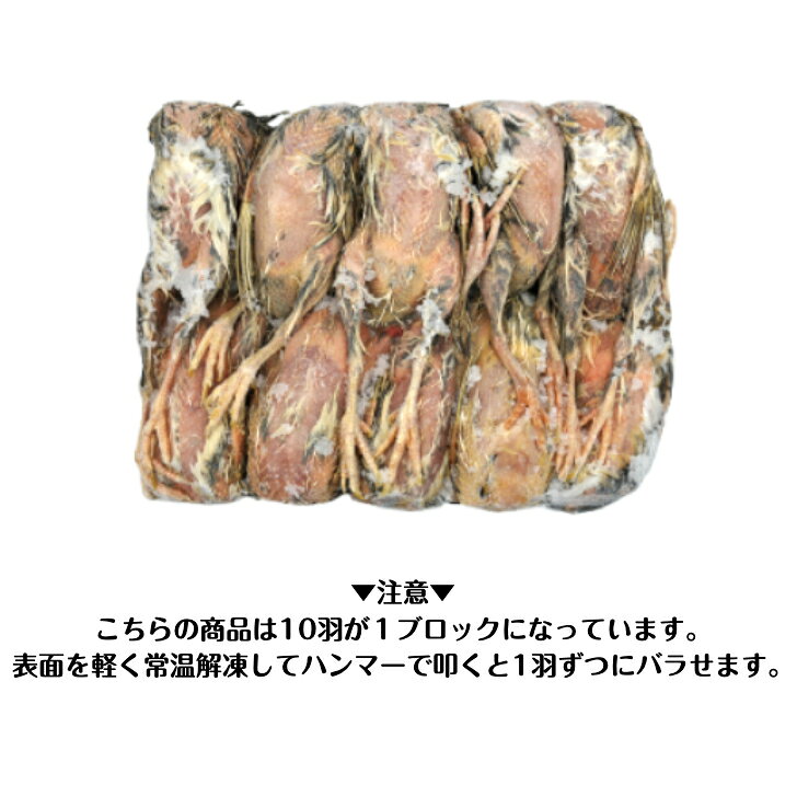 まとめ買いがお得【未処理】国産冷凍ウズラ90羽 【10羽ブロック×9袋】冷凍餌 エサ ...