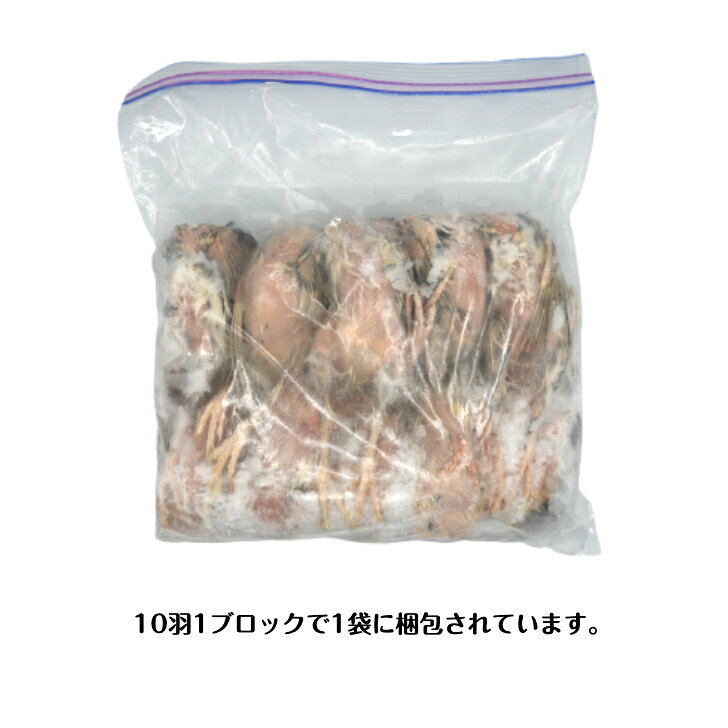 まとめ買いがお得【未処理】国産冷凍ウズラ90羽 【10羽ブロック×9袋】冷凍餌 エサ ...