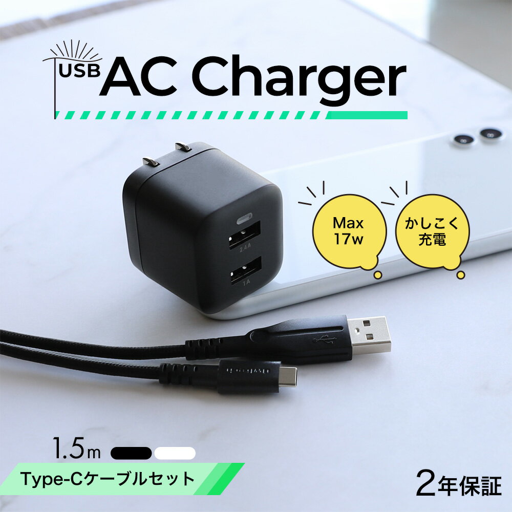 最大17W USB Type-A 2ポート AC充電器 超