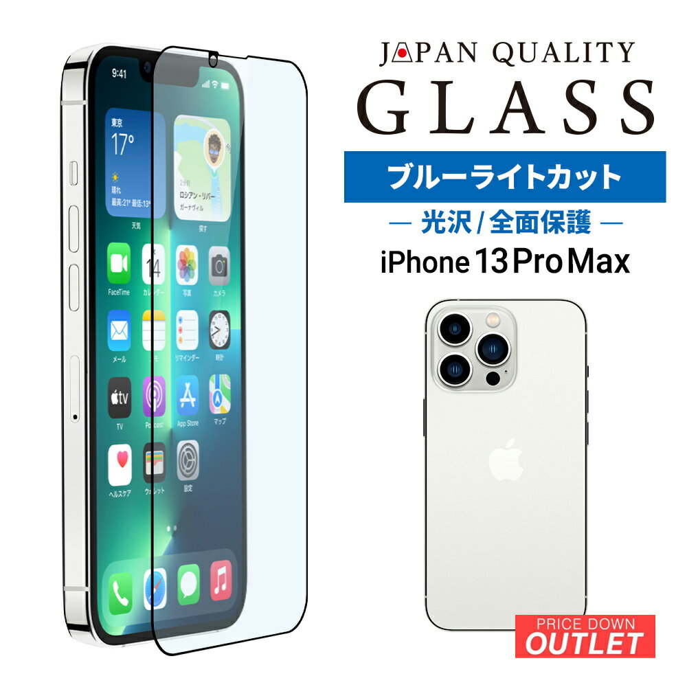 ڥȥåȾʡ iPhone 13 Pro Maxб (6.7) ݸ 饹 ֥롼饤ȥå