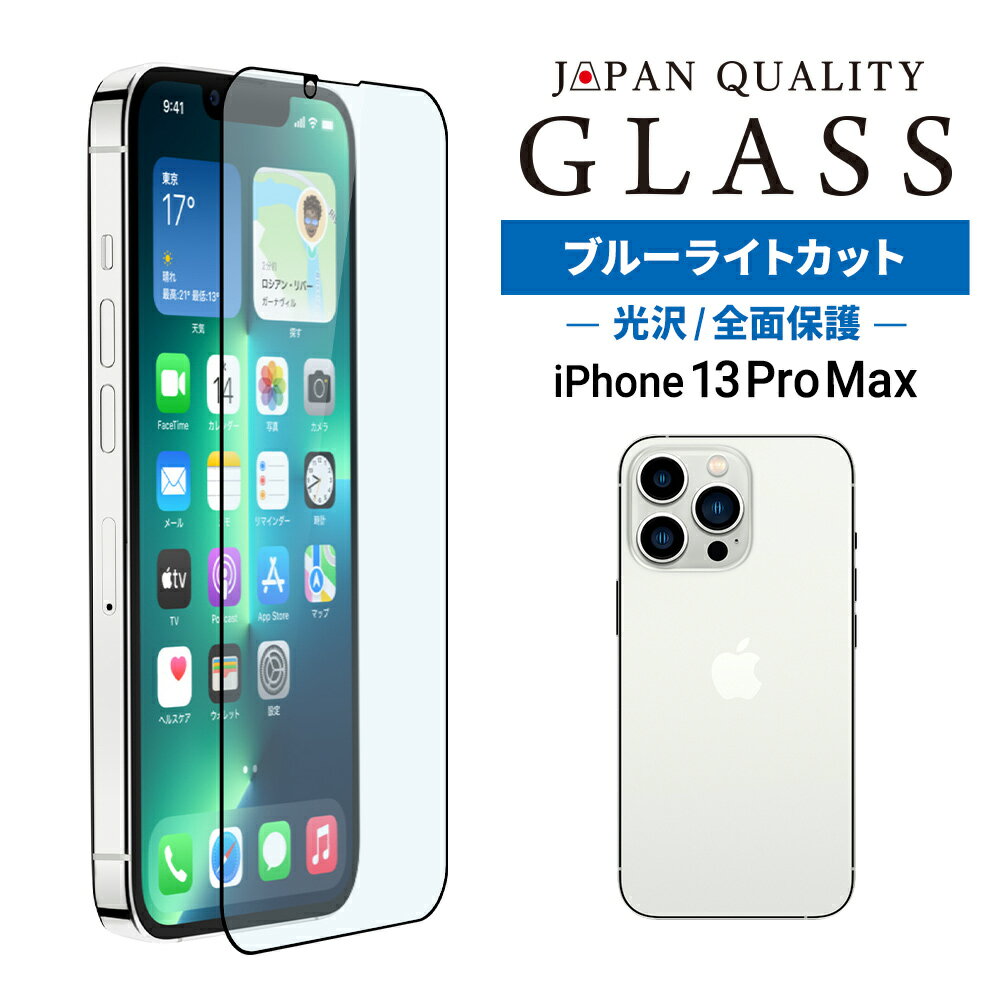ڤͲޤ ڤò iPhone 13 Pro Maxб (6.7) ݸ 饹 ֥롼饤ȥå