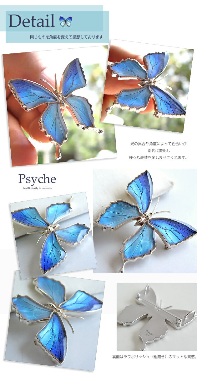 (Psyche/オーダー品) 本物の蝶の羽 ア...の紹介画像3