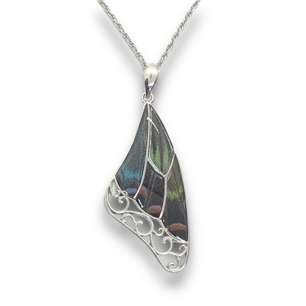 (Psyche/現品) 上翅デザイン バタフライネックレス [ミヤマカラスアゲハ]のサムネイル