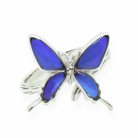 （Psyche/現品) 本物の蝶の翅 小さなアゲハ蝶 リング＝フリーサイズ＝ [カキカモルフォ]のサムネイル