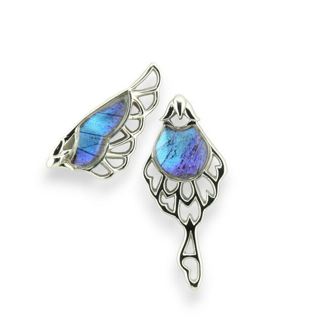 [タミラスムラサキシジミ] 本物の蝶の翅 アシンメトリーデザイン ピアス [Psyche/現品] [zps088r-thamy]のサムネイル