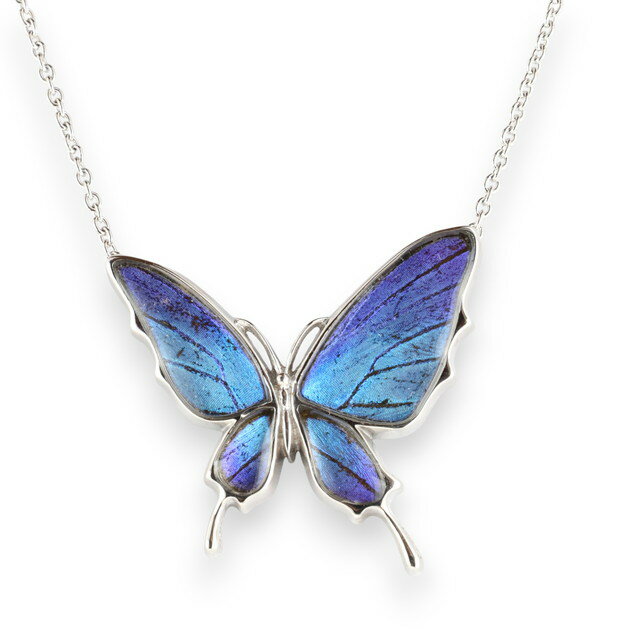 (Psyche/現品) 本物の蝶の翅 舞い飛ぶ蝶 ネックレス [タミラスムラサキシジミ] [zps031r-thamy]