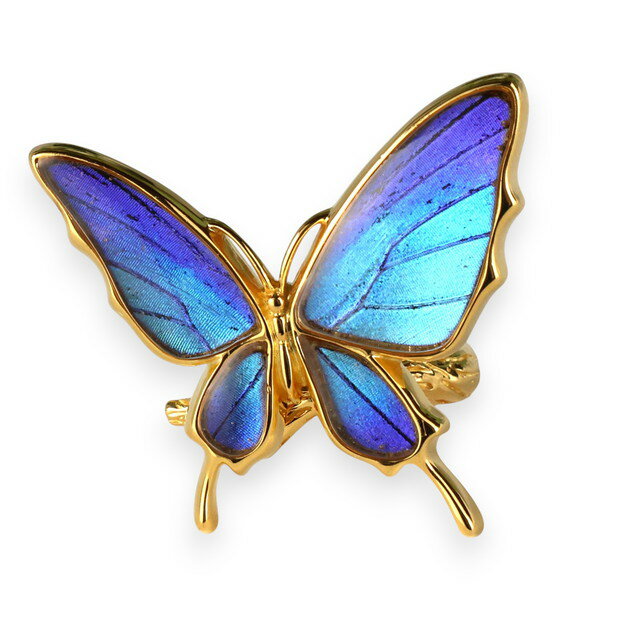 [タミラスムラサキシジミ] 本物の蝶の翅 舞い飛ぶ蝶 リング ＝フリーサイズ＝ [Psyche/現品] [zps033g-thamy]