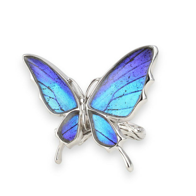 (Psyche/現品) 本物の蝶の翅 舞い飛ぶ蝶 リング ＝フリーサイズ＝ [タミラスムラサキシジミ][zps033r-t..