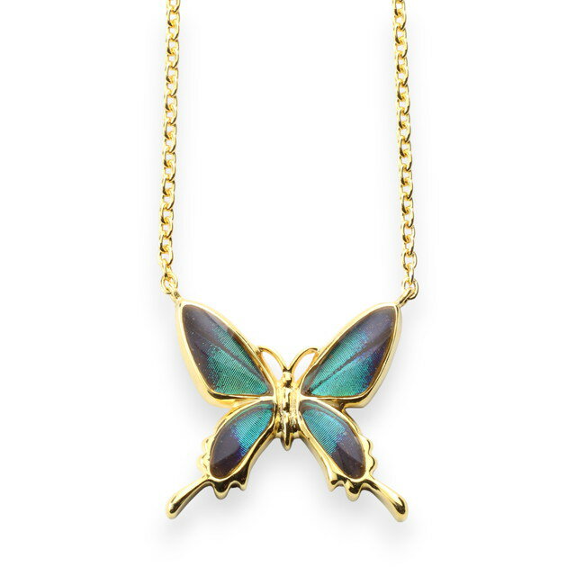 楽天オウン・ピー（アクセサリー）（Psyche/現品） 本物の蝶の翅 小さなアゲハ蝶 ネックレス [ドクソコパチェルビナ] [zps049g-gr]