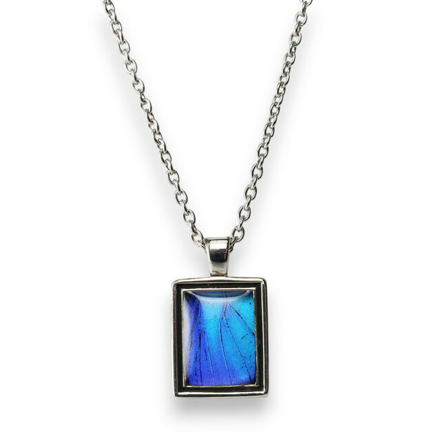 Silver - （Psyche/現品) 本物の蝶の翅 スクエアデザイン ネックレス [タミラスムラサキシジミ] メンズプシュケ