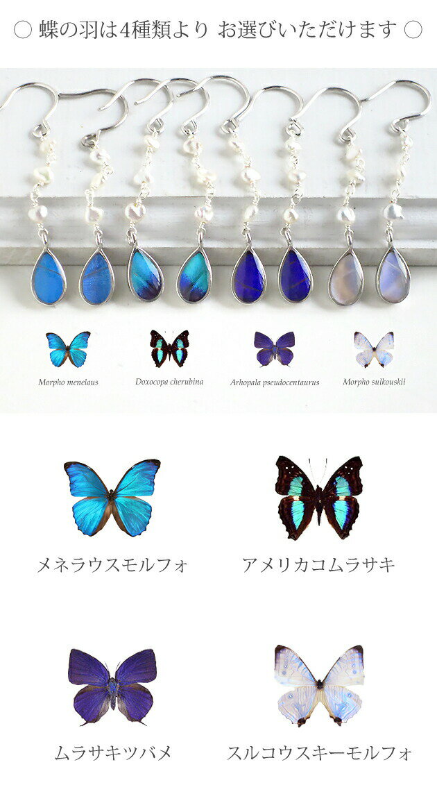 (Psyche/オーダー品) 本物の蝶の羽 揺れる雫と淡水パールの粒 シルバー925 ロジウムメッキ フックピアス ティアドロップ 涙 蝶々 バタフライ
