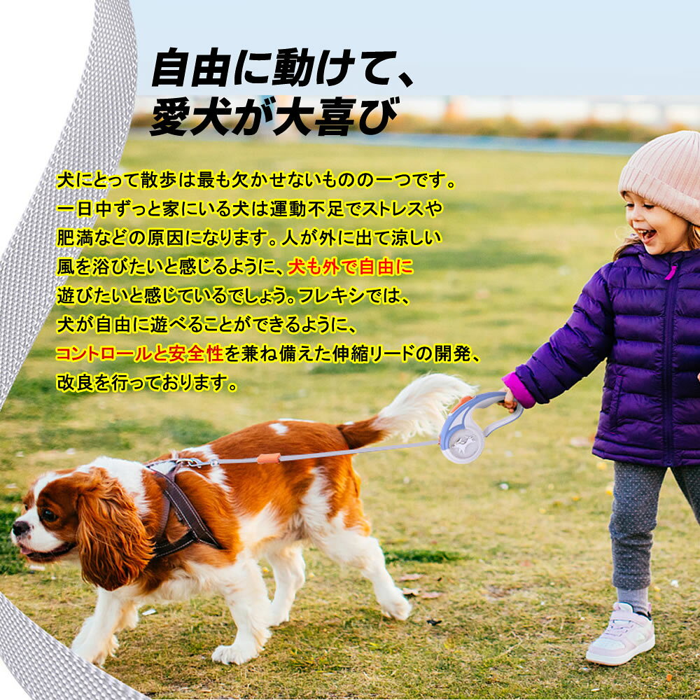 �淿�� ������ Ķ������ �Ҹ� �꡼�� �� 3m �� �꡼�� �������/�� �꡼�� ����/�� �꡼�� �淿��/�꡼�� �եå�/���ѥ꡼��/���ѿ��̥꡼��/�ڥå����� ���� �꡼�� ��ư������꼰 ������ ���꡼�� ���̥꡼�� ��ư����
