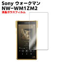 Sony WM1シリーズ ウォークマン 用 強化ガラス 液晶保護フィルム ガラスフィルム 耐指紋 撥油性 表面硬度 9H 業界最薄0.3mmのガラスを採用 2....