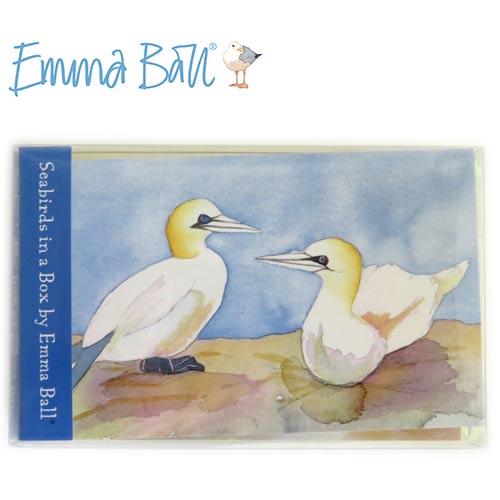 Emma Ball カードセット 10枚入り 封筒付 メッセージカード イギリス 水彩画 可愛い かわいい おしゃれ プレゼント ギフト Seabirds EBMCP46