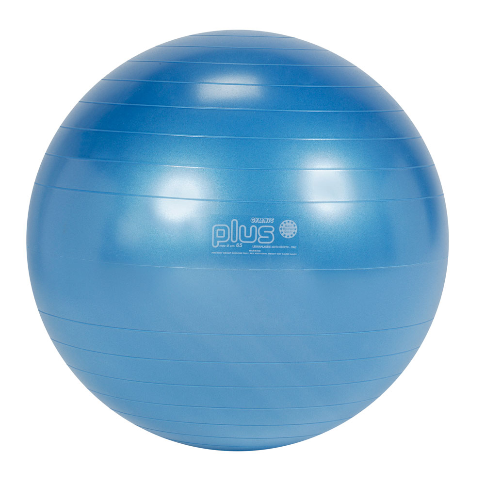 【Wアクションポンププレゼント】 バランスボール 65 ギムニクPLUS65B 青色 フィットネス 65cm 送料無料