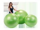 【Wアクションポンププレゼント】フィジオギムニクPLUS120 ライムグリーン Physio Gymnic PLUS バランスボール 送料無料 イタリア レード...