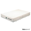 【送料別途】【法人限定商品】エバニュー(EVERNEW) 屋内マット二ツ折2×3×0.3 EGD123