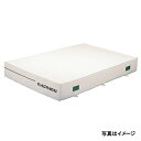 【送料別途】【法人限定商品】エバニュー(EVERNEW) 抗菌屋内滑止2×3×0.3 EGD243