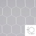 エバニュー(EVERNEW) フットサルネット亀甲F106 EKD862