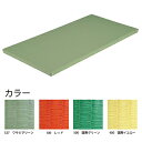 エバニュー(EVERNEW) 投込用ソフト畳 EKR029