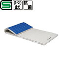【送料無料】トーエイライト (TOEI LIGHT) 5cm抗菌ノンスリップ合成スポンジマット(9号帆布)120x300 T-2708