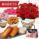 母の日 カーネーション鉢植え(5号鉢)&焼き菓子3個セット 早割 送料無料 プレゼント カーネーション 鉢植え ギフト 選べる4種 赤 ピンク オレンジ 202...