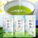 お中元 御中元 お茶 ギフト 緑茶 静岡銘茶 自然の恵み3種飲み比べセット 掛川茶 川根茶 本山茶 各100g お茶ギフト お祝い 内祝い 出産内祝い お返し 誕生日 深蒸し茶 浅蒸し茶 茶葉 飲みくらべ メール便 送料無料