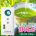 1000円ポッキリ 送料無料 お茶 静岡 深蒸し茶 煎茶 清の里 100g 静岡茶 緑茶 日本茶 茶葉 静岡県産 深むし茶 プレゼント 自宅用 茶 カテキン 健康 メール便 買いまわり