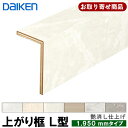 YNZ81-16XX お取り寄せ品 ダイケン DAIKEN 