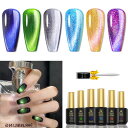 Biutee ジェルネイル ネイルカラー マグネットネイル マグネットジェル キャッツアイ カラージェル 6色セット 8ml UV/LED対応 微粒子ラメ グリ...