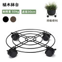植木鉢台 鉢受プレート 360°回転キャスター付き 耐荷重50kg 鉢受台 直径30cm 鉢置台 プランタースタンド 植木鉢台 移動便利 室内 屋外 ガーデニング 観葉植物 鉢受プレート 移動 台車 花台 家電 家具用 新生活