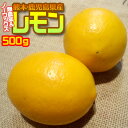 【無農薬&ノーワックス】熊本県産 わけありレモン500g