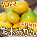【自家用わけあり】熊本みかん10kg箱入り【送料無料】 - おやさい村