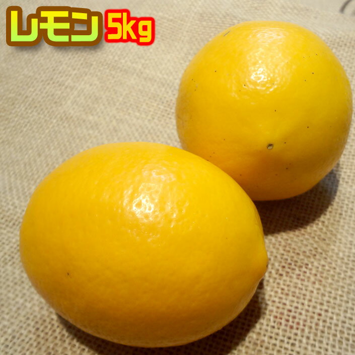 農薬不使用レモン5kg 化学肥料不使用 防腐剤ワックス不使用 わけあり 九州産 ※ 無農薬 表示について 「無農薬」「無化学肥料」の表示は国のガイドラインにおい...